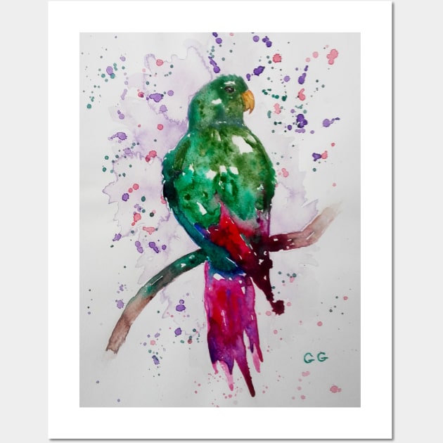 Colourful Parrot watercolour painting Wall Art by GarryGreenwood